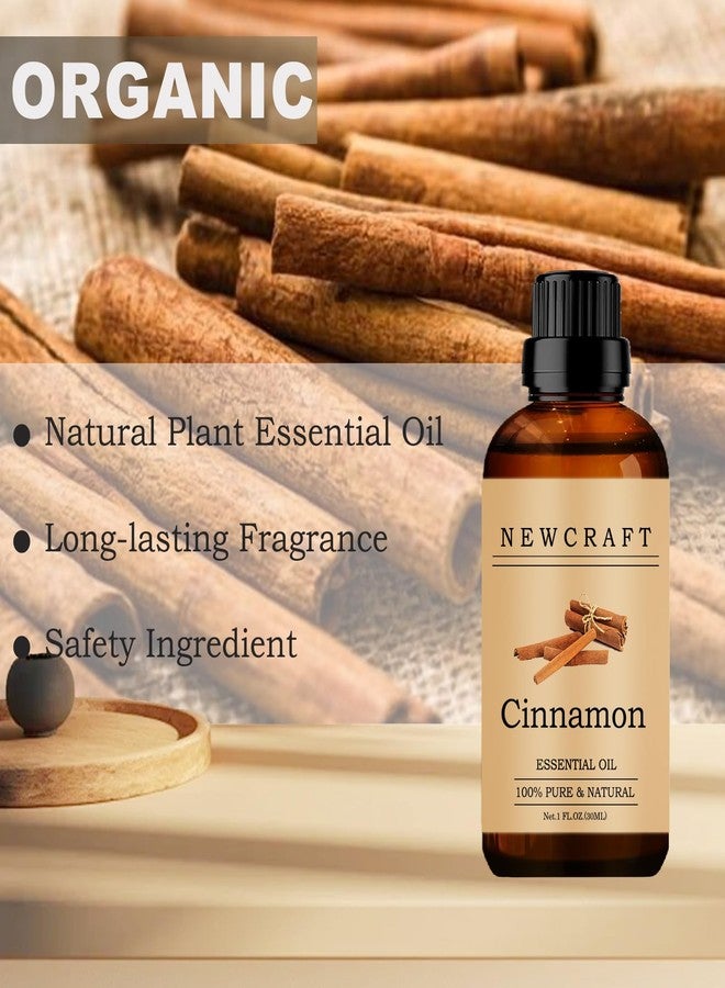 NewCraft Cinnamon Essential Oils, 30ML 100% Pure and Natural Essential Oil with Dropper for Aromatherapy Diffuser - 1 Fl Oz/Cinnamon - Image 3